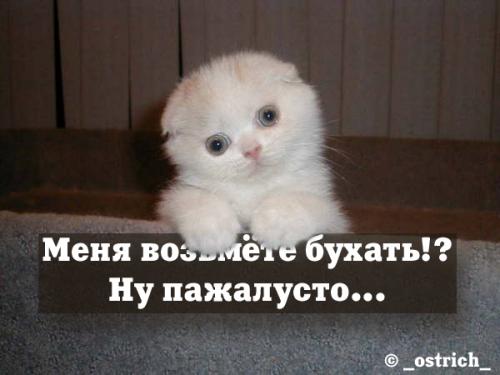 http://www.voyaki.ru/kartinki/animals/big/10.jpg