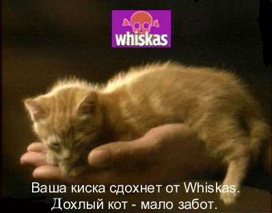 http://www.voyaki.ru/kartinki/animals/big/12.jpg